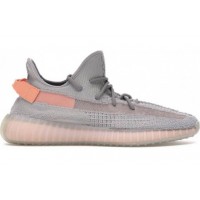 Кроссовки Adidas Yeezy Boost 350 V2 True Form Trfrm
