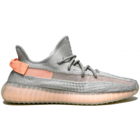 Кроссовки Adidas Yeezy Boost 350 V2 True Form